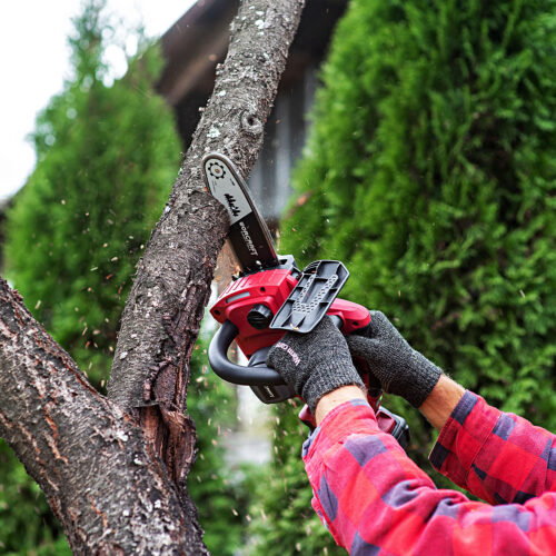 เลื่อยไร้สาย 8 นิ้ว รุ่น CGC-S20LiB