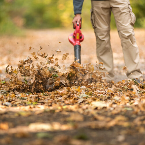 โบลเวอร์ไร้สาย CLB-S20Li - view 5