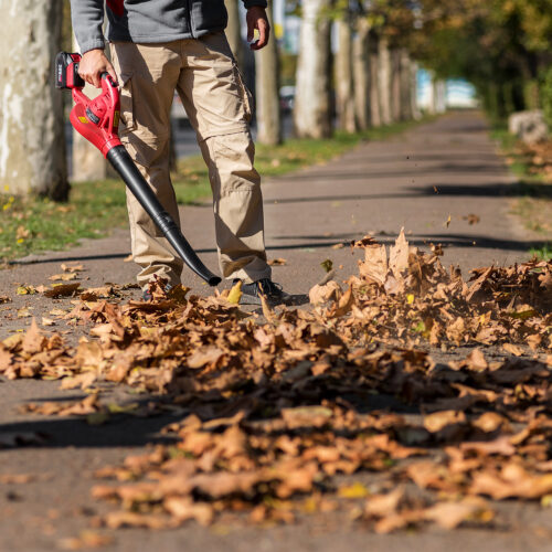 โบลเวอร์ไร้สาย CLB-S20Li - view 3